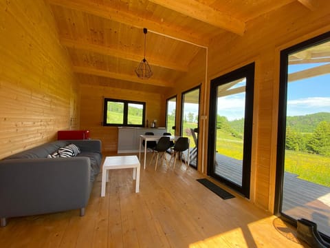 Day, View (from property/room), Living room, Seating area, Mountain view