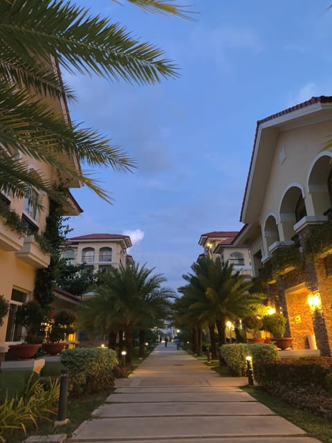 Property building, Night, Garden view