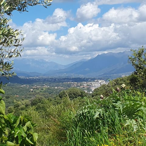 City view