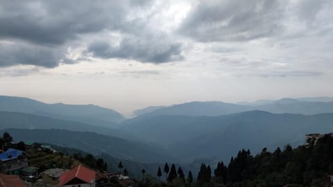 Natural landscape