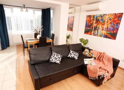 Living room, Photo of the whole room, air conditioner