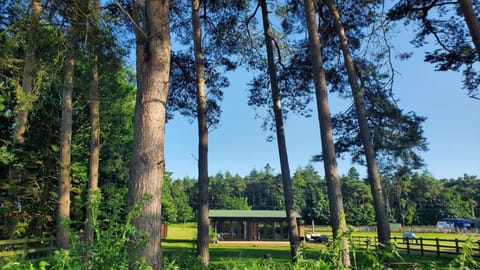 Natural landscape, Garden view
