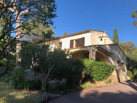 Property building, Garden view