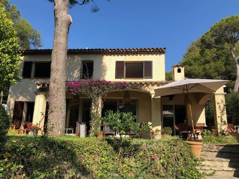 Property building, Garden view