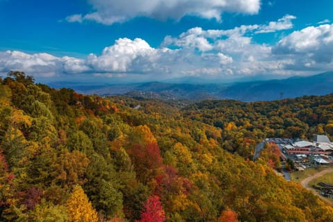 Bears on Skis House in Gatlinburg