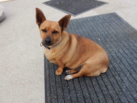 Stay With Jack Vacation rental in County Limerick