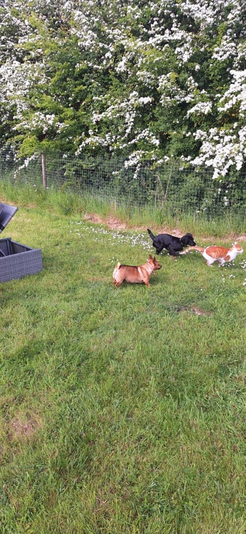 Stay With Jack Vacation rental in County Limerick