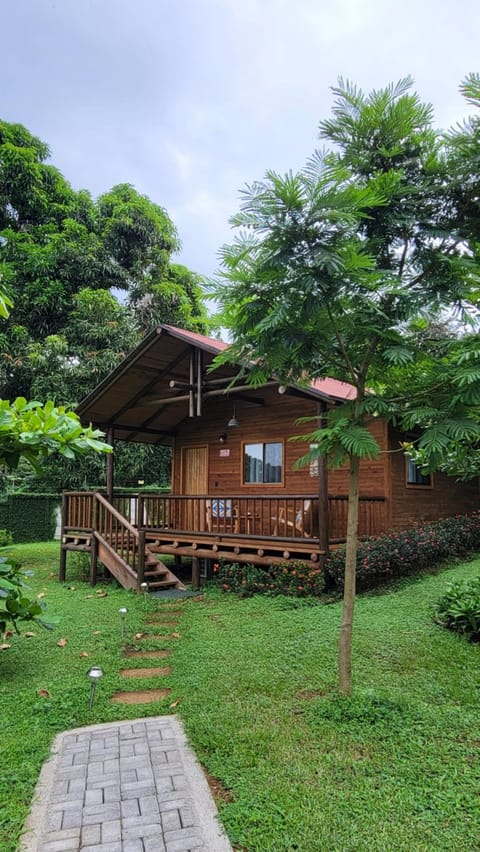 Garden, Garden view