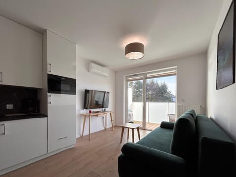 TV and multimedia, Balcony/Terrace, Kitchen or kitchenette, Living room, air conditioner