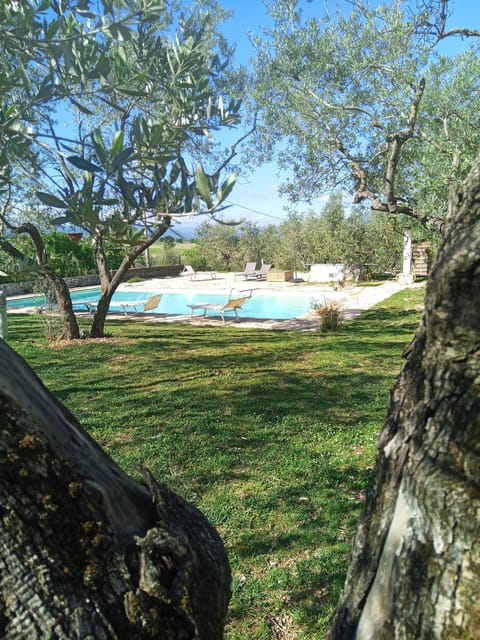 Garden, Swimming pool