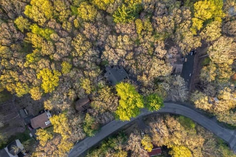 The Blue Forest Chalet - Kayak, Hike, Hot Tub Chalet in Stroud Township