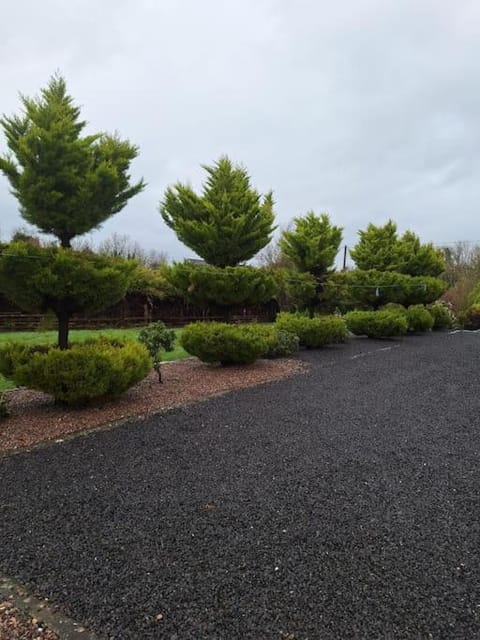 Natural landscape, Garden, Garden view, Parking