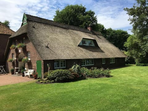Property building, Natural landscape, Garden