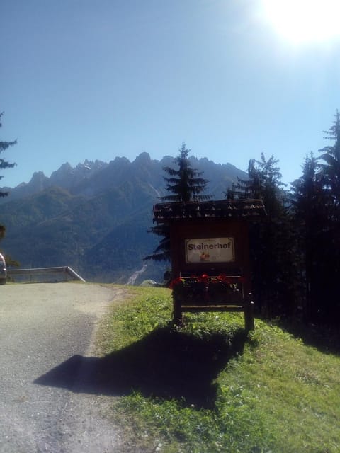 Steinerhof Apartment in Dobbiaco