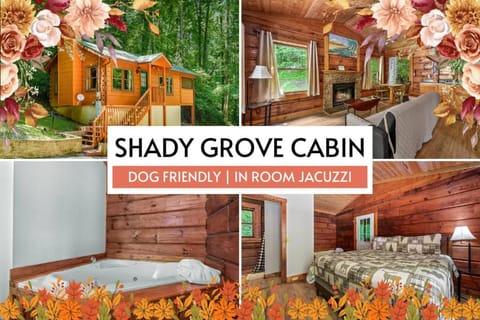 Pet-Friendly Cabin, In-Room Jacuzzi, King Bed, WiFi Cabin in Pittman Center