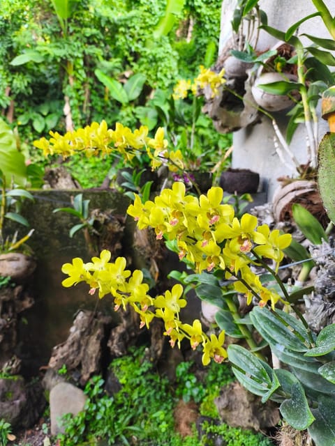 Manuk Dewata Villa Bed and Breakfast in Sidemen