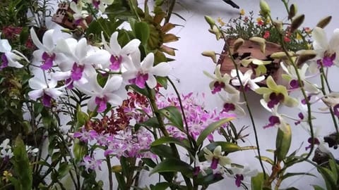 Manuk Dewata Villa Bed and Breakfast in Sidemen