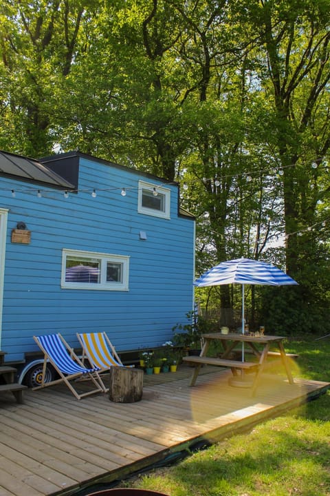 Prullenbos Tiny House Nutz Nest Chalet in Ghent