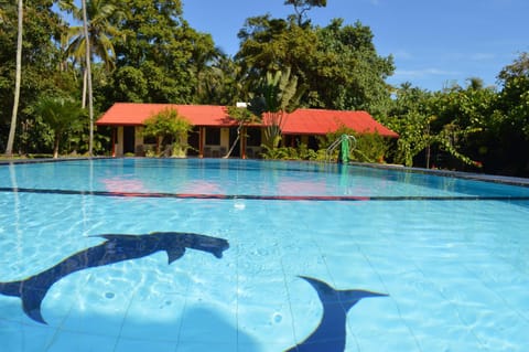 Swimming pool, Swimming pool