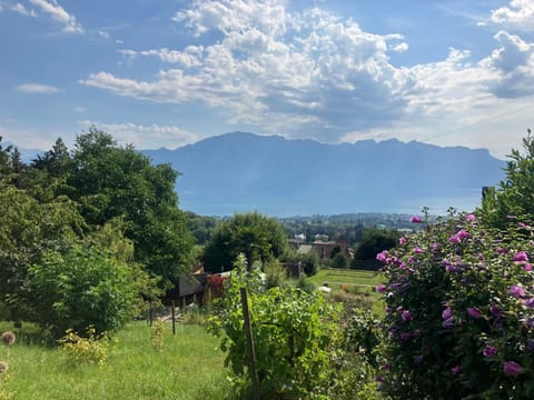 Spring, Natural landscape, Mountain view