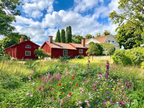 Property building, Garden, Garden view