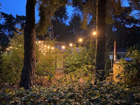 Night, Garden, Garden view