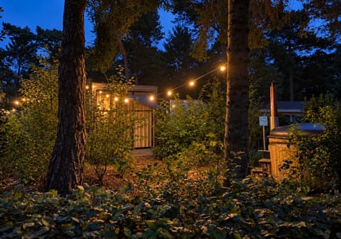 Garden, Hot Tub, Garden view