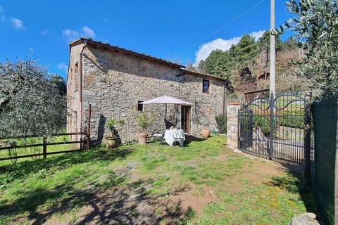 Property building, Garden view