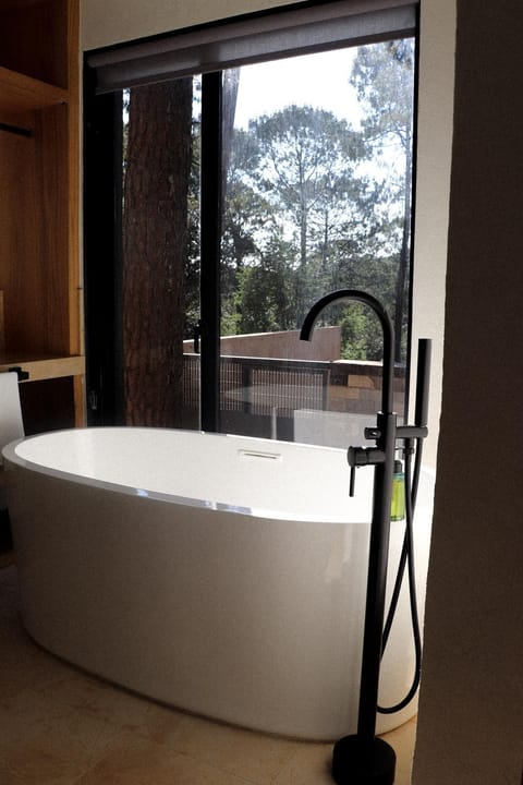 Desnivel, Valle de Bravo Apartment in Valle de Bravo