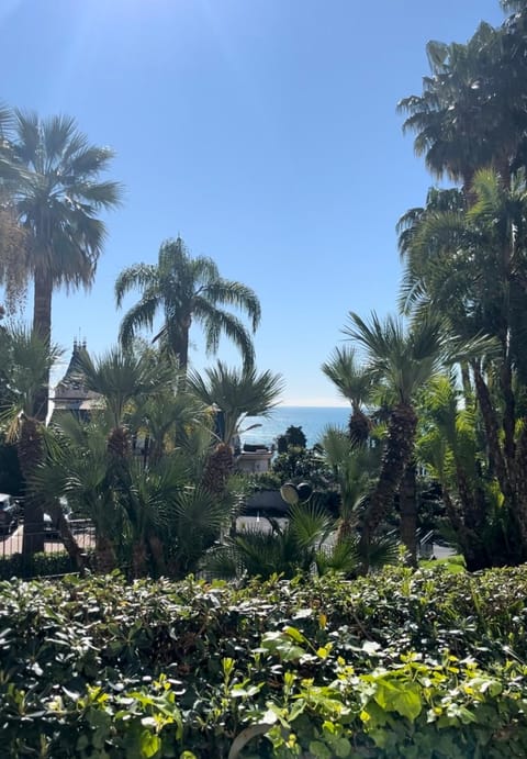 Day, Natural landscape, Garden, Garden view, Sea view