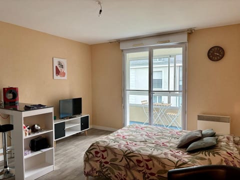 Charmant studio tours nord Apartment in Tours