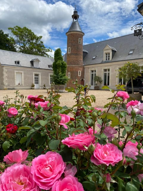 Inner courtyard view