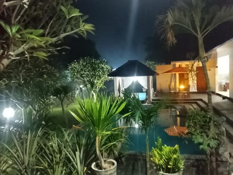 Night