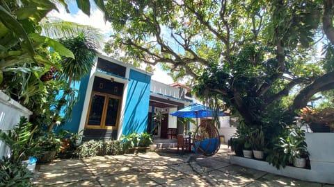 Patio, Garden, Garden view