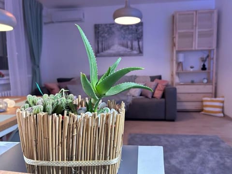 Apartment Fiore Apartment in Vojvodina