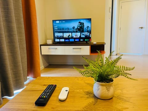 TV and multimedia