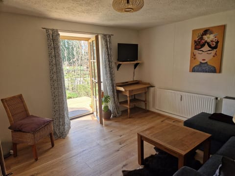 TV and multimedia, Living room, Seating area, Evening entertainment