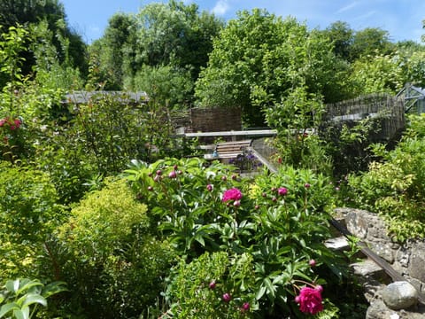 Day, Garden, Seating area
