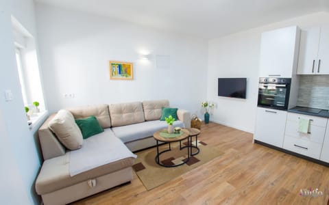 TV and multimedia, Kitchen or kitchenette, Living room, Seating area, pet friendly, stove
