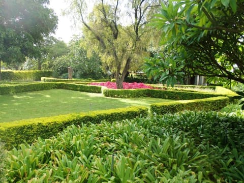 Natural landscape, Garden view