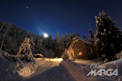 Night, Property logo or sign, Natural landscape, Winter, On site, Garden view, Mountain view, Area and facilities