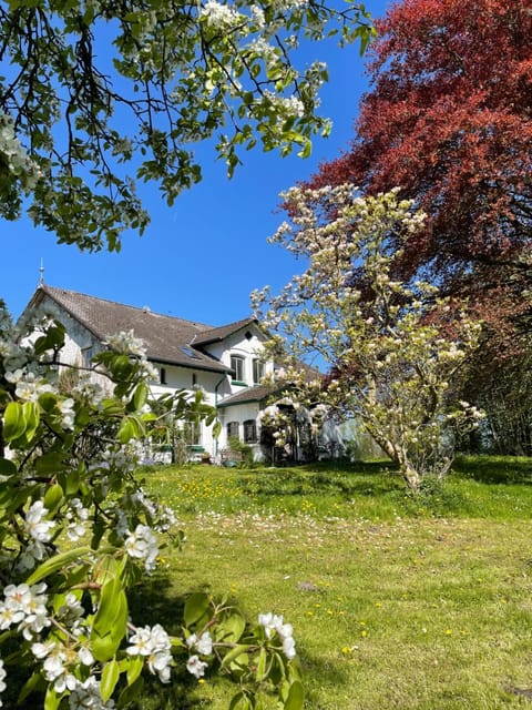 Property building, Spring, Garden, Garden, Garden view