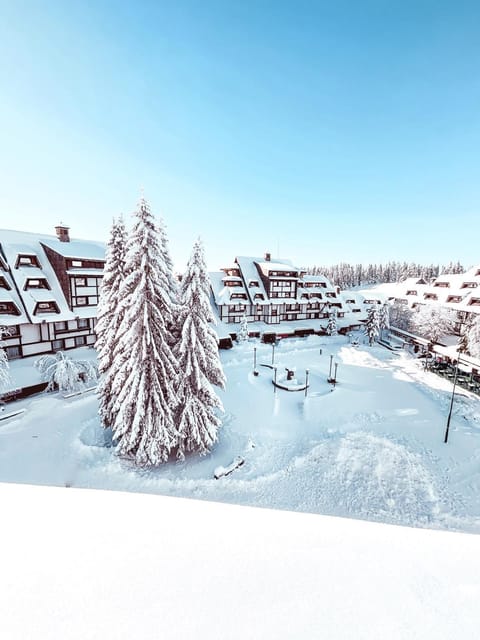 Natural landscape, Winter