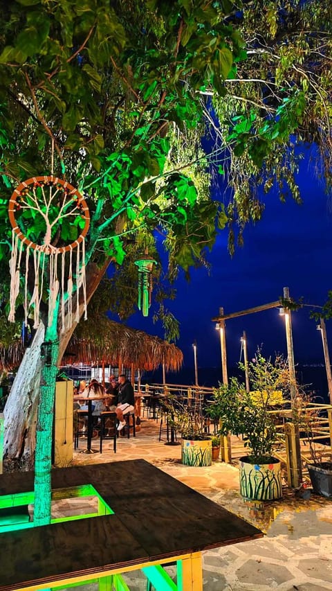 Lounge or bar, Evening entertainment