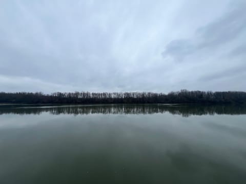 Natural landscape, River view
