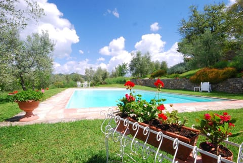 Garden, Swimming pool, Swimming pool