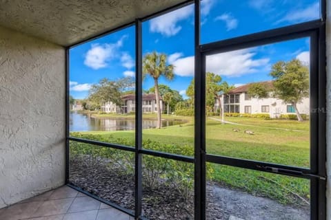 Lake view