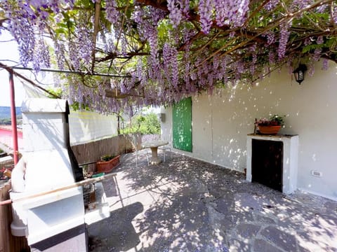 Patio, Garden, Dining area, Garden view