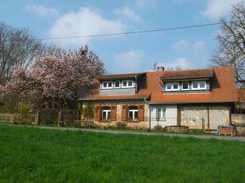 Property building, Spring, Day