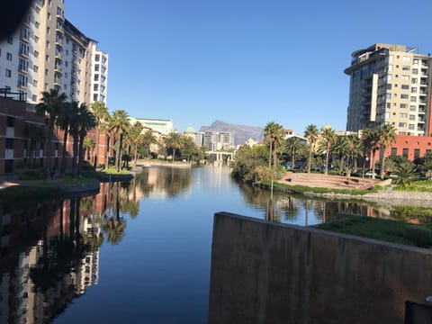 Lake view